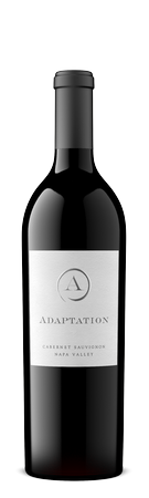 2019 Adaptation Cabernet Sauvignon, Napa Valley