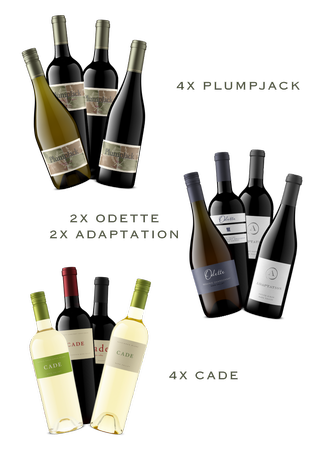 The Portfolio Collection