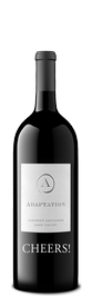 2019 Adaptation Cabernet Sauvignon 